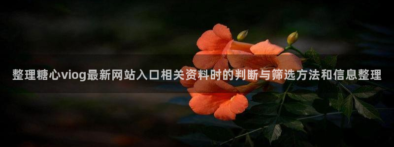 糖心vlog18
