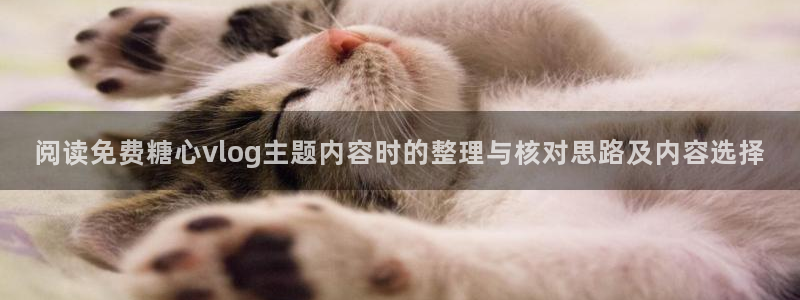 糖心app在线观看