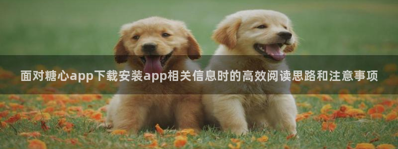 糖心在线播放免费观看