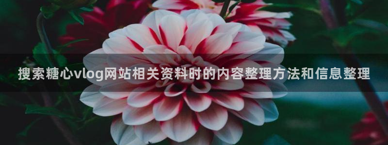 糖心在线播放免费观看:搜索糖心vlog网站相关资料时的内容整理方法和信息整理