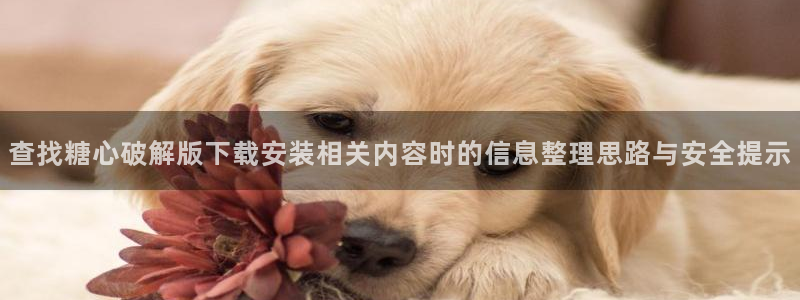 糖心app